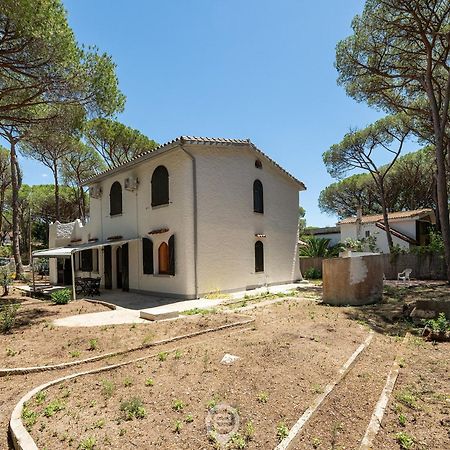Villa Del Mare - Appartamento Aria 普拉 外观 照片